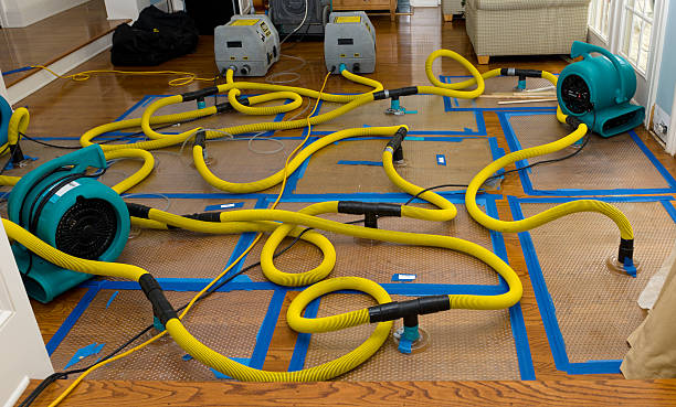 Professional Crawl Space Water Removal technician working in Georgetown, CT